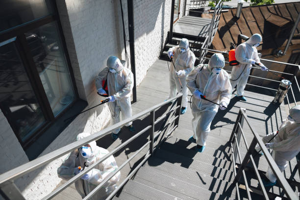 Best Industrial Mold Remediation  in Melody Hill, IN