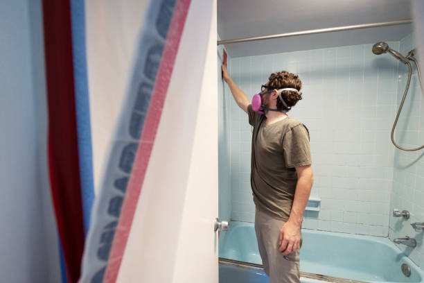 Trusted Melody Hill, IN Mold Removal Experts