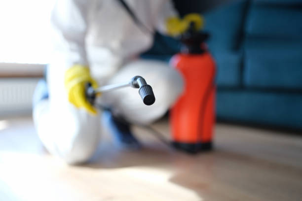 Professional Mold Removal in Melody Hill, IN